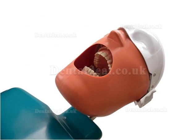 Jingle JG-A1 Phantom Head For Dental Students Dental Patient Simulation Unit